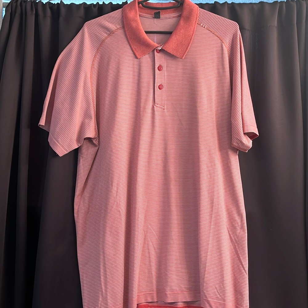 One year old Lulu polo